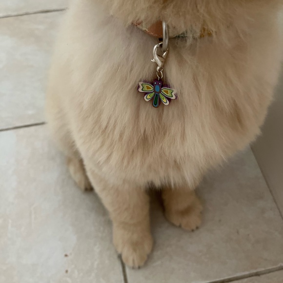 Beaddazzled Other - 🦋Pet collar charm